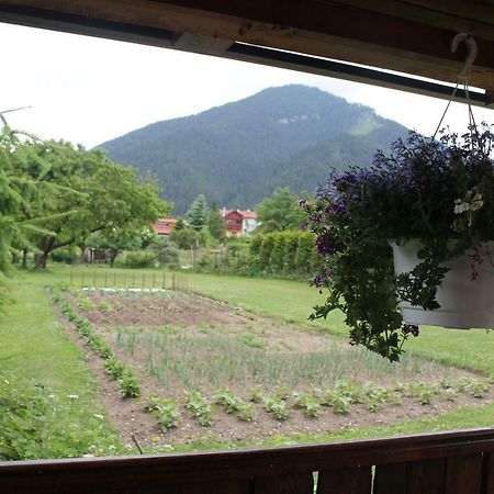 Apartman Turista Pavčina Lehota Dış mekan fotoğraf