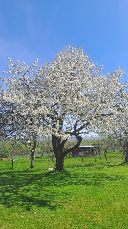 Apartman Turista Pavčina Lehota Dış mekan fotoğraf