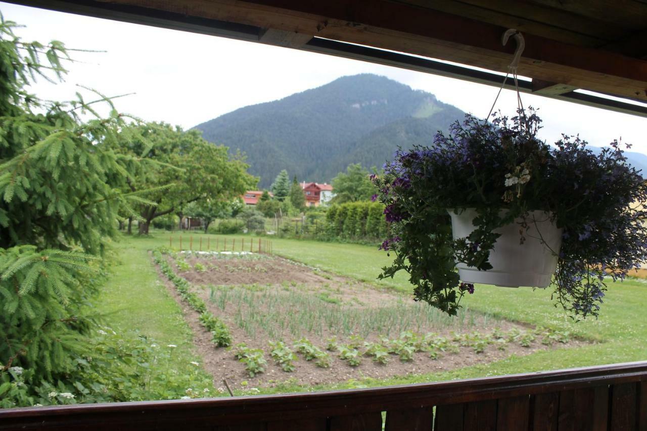 Apartman Turista Pavčina Lehota Dış mekan fotoğraf